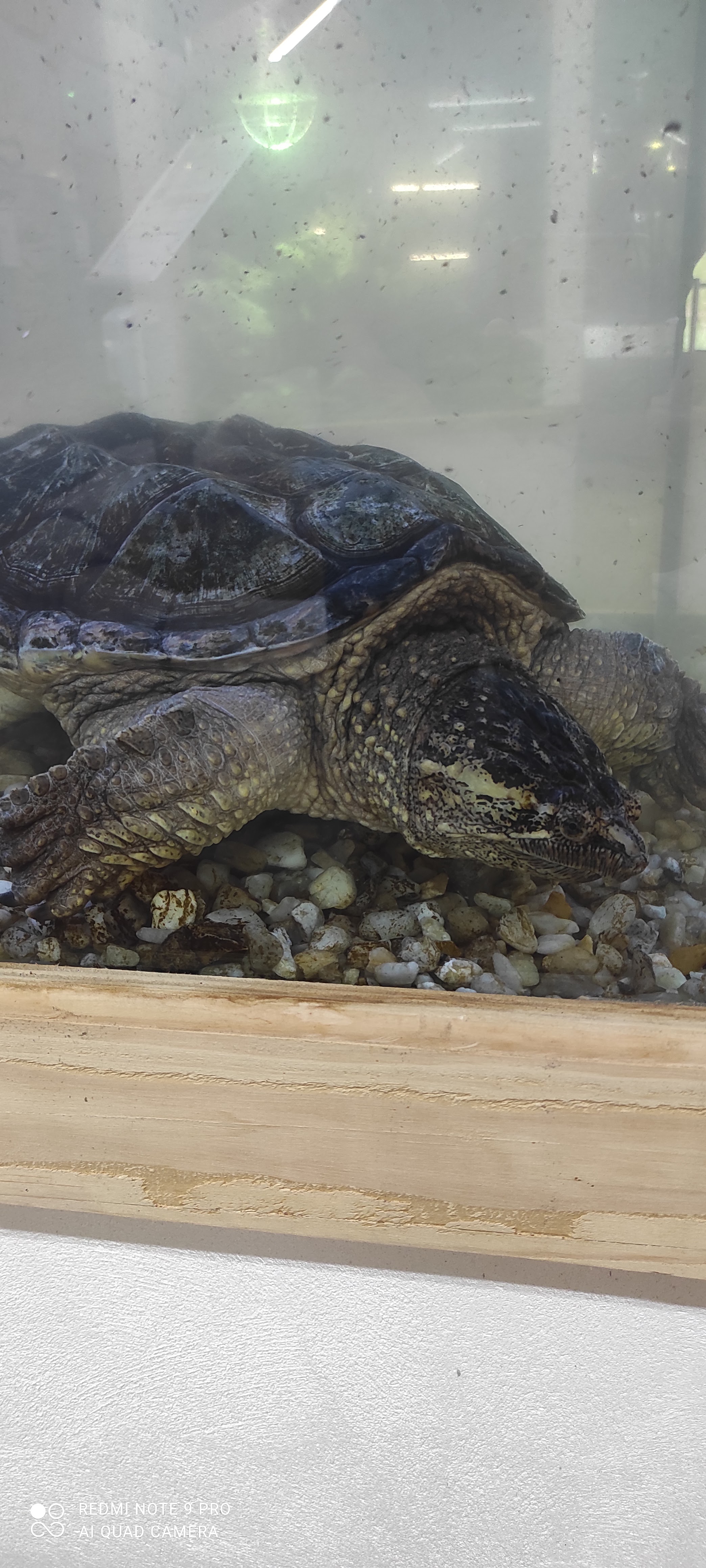 Photo n° 2 de l'avis de Stephane.S fait le 01/06/2021 à 13:52