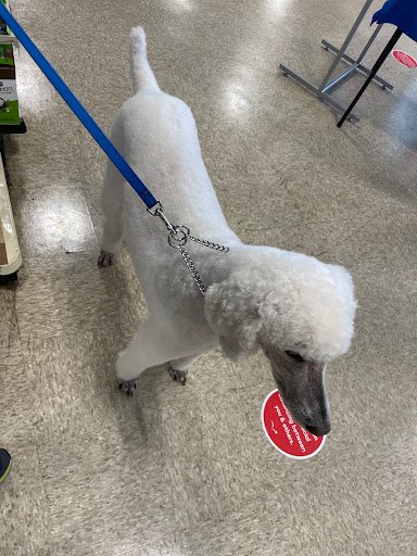 Pet Supply Store «PetSmart», reviews and photos, 13241 Gateway Center Dr, Gainesville, VA 20155, USA