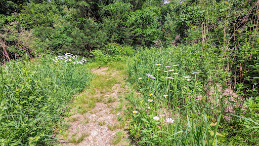 Nature Preserve «Gummere Woods And Marsters Preserve Trail», reviews and photos, 4 Wheeler Rd, North Grafton, MA 01536, USA