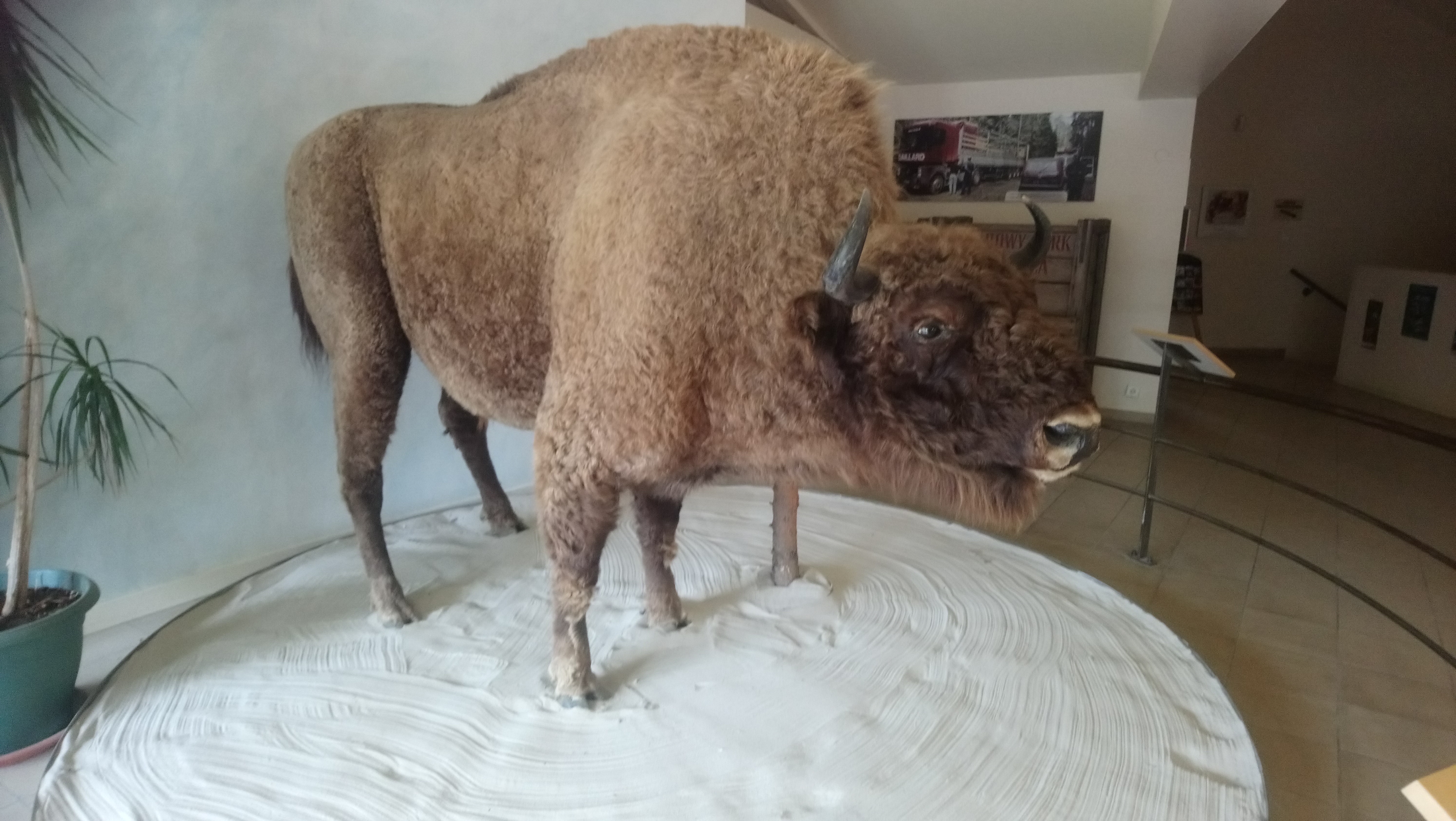 Photo n° 1 de l'avis de Christelle.i fait le 16/07/2019 à 08:11