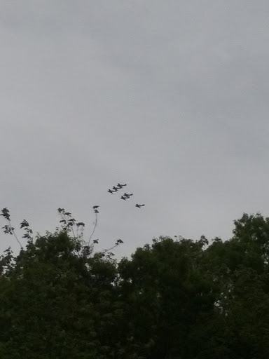 Park «Mansfield Park», reviews and photos, 85 Walker St, Massapequa Park, NY 11762, USA