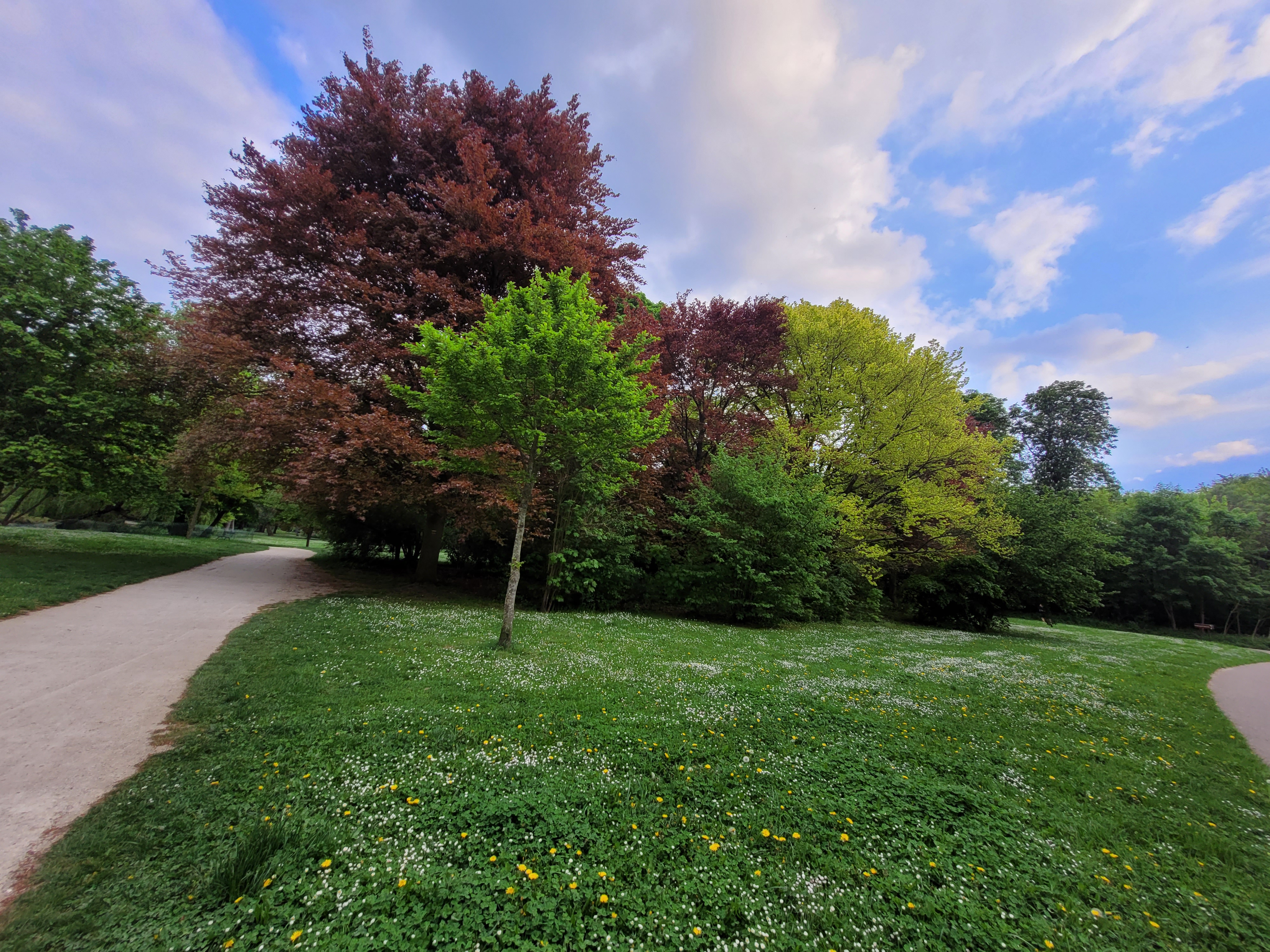 Photo n° 27 de l'avis de ernest.o fait le 17/08/2018 à 17:20