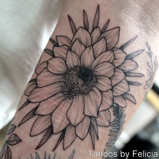 Explore lizard tattoo ideas, creative tattoo ideas in Fort Myers, available at Tiger Lotus Tattoo and Piercing