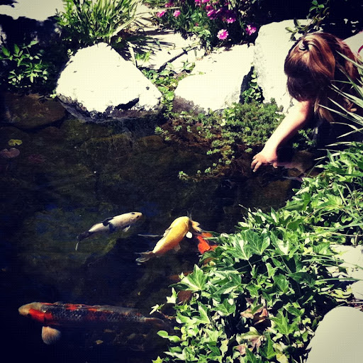 Garden «Sierra Water Gardens», reviews and photos, 2110 Dickerson Rd, Reno, NV 89503, USA