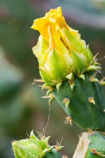 RV Park «Hidden Valley RV Park», reviews and photos, 5706 Coleman Way, Von Ormy, TX 78073, USA