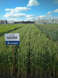 ACOS - Associação de Agricultores do Sul