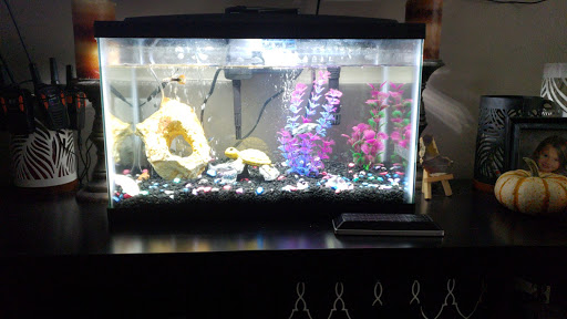 Pet Store «Greenwood Pets & Plants», reviews and photos, 13983 E 9 Mile Rd, Warren, MI 48089, USA