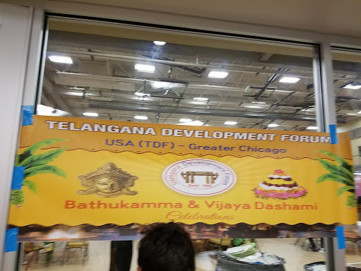 Recreation Center «Falcon Park Recreation Center», reviews and photos, 2195 N Hicks Rd, Palatine, IL 60074, USA