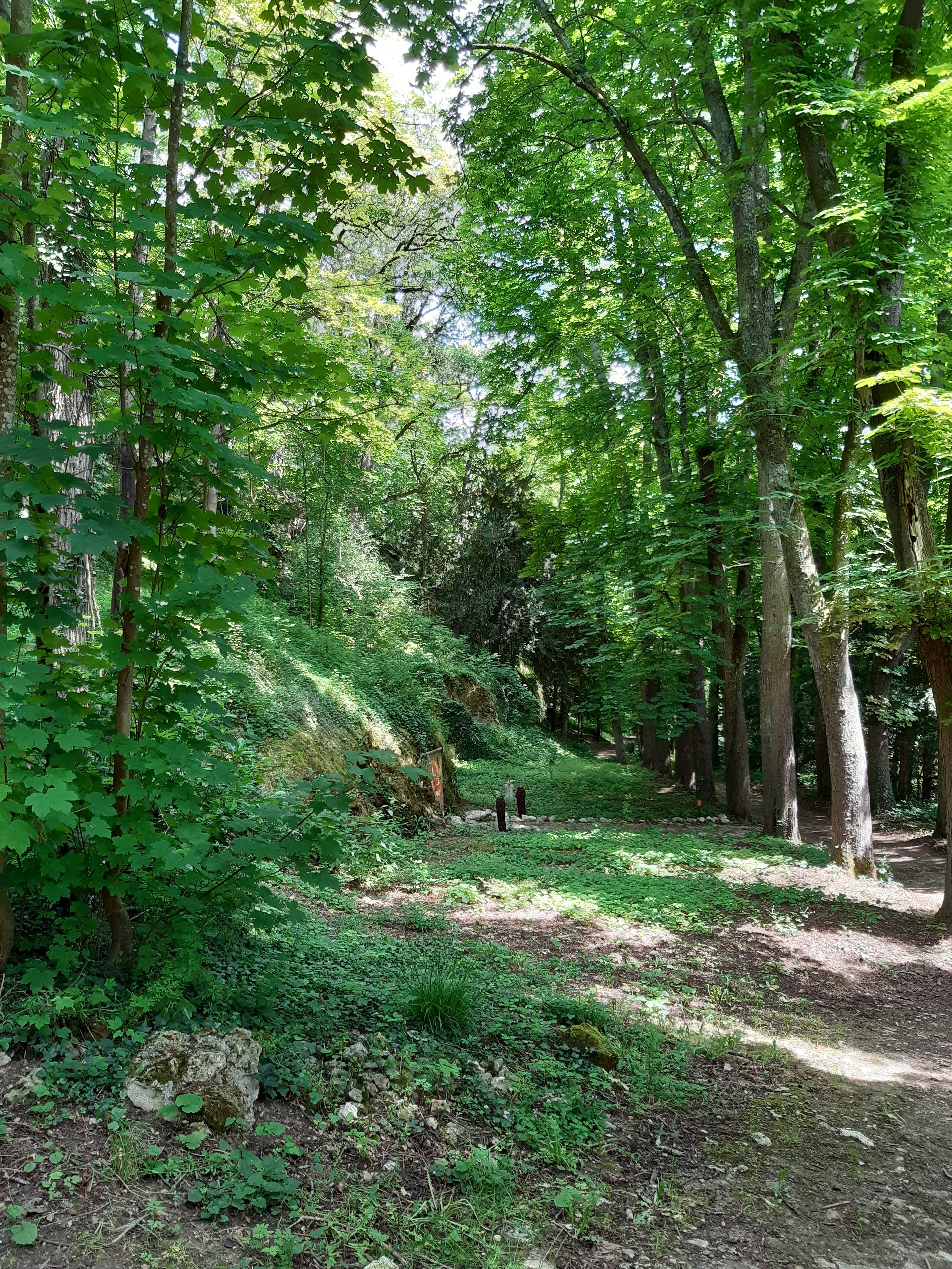 Photo n° 4 de l'avis de Patrice.a fait le 13/06/2021 à 16:03