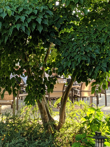 Country Club «Chikaming Country Club», reviews and photos, 15029 Lakeside Road, Lakeside, MI 49116, USA