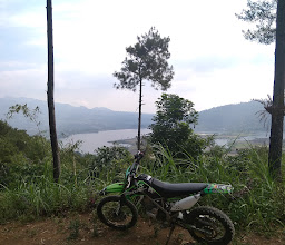 Bukit Srege Flower Hill photo