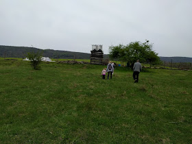 N.C.S. Solutions Kft.