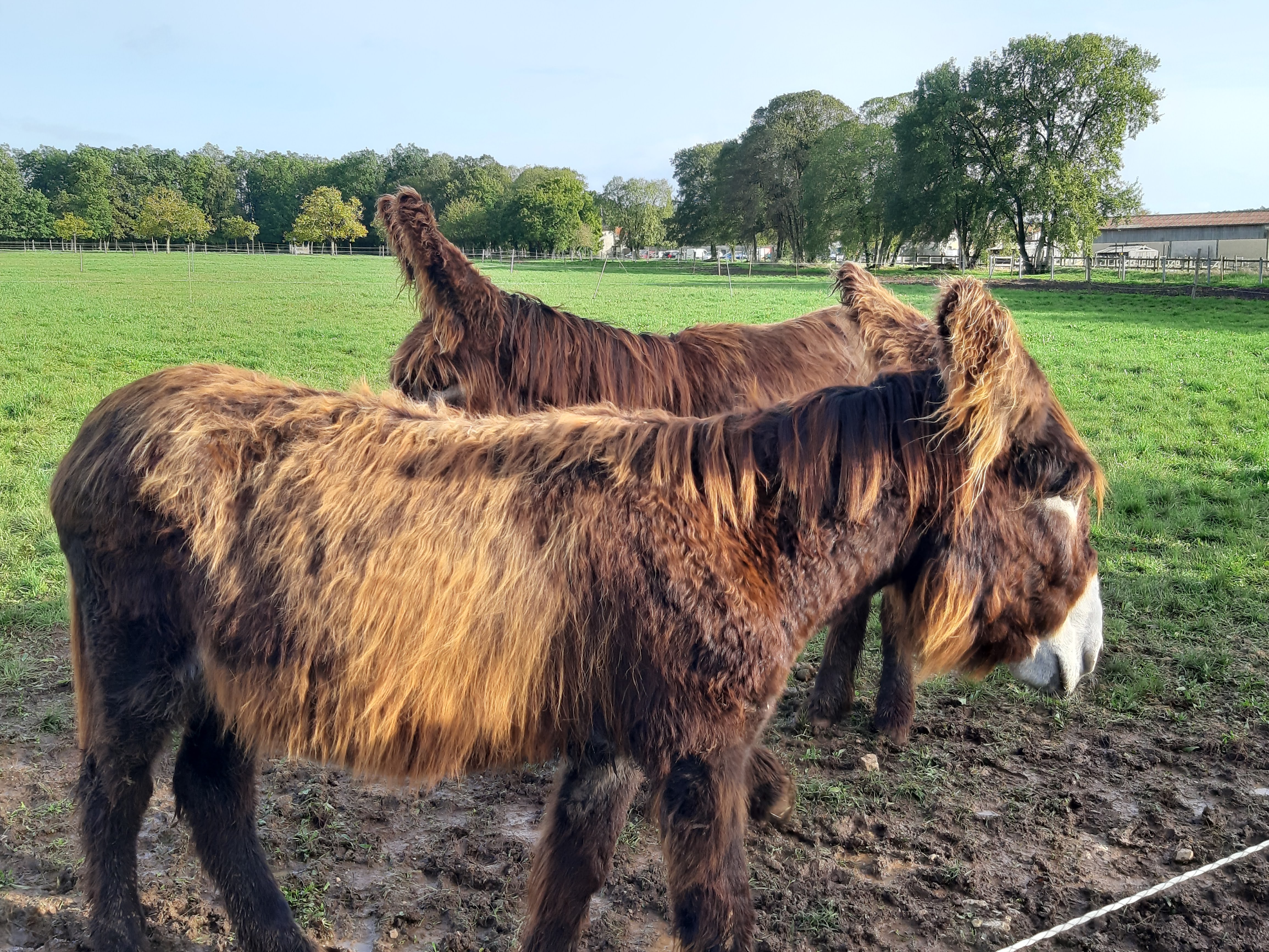 Photo n° 1 de l'avis de Emmanuelle.a fait le 01/11/2023 à 19:46