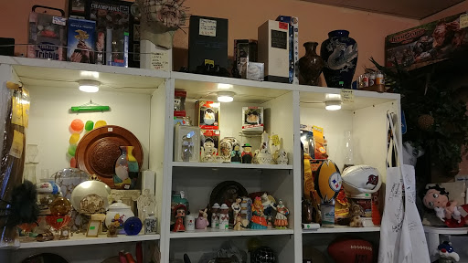 Thrift Store «Thrifty Nickel Tampa Thrift Store Re-Sale», reviews and photos, 7706 W Hillsborough Ave, Tampa, FL 33615, USA