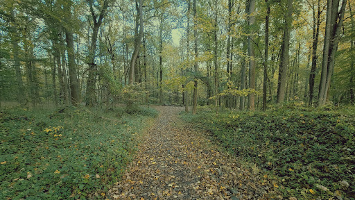 Public Golf Course «Mohansic Golf Course», reviews and photos, 1500 Baldwin Rd, Yorktown Heights, NY 10598, USA