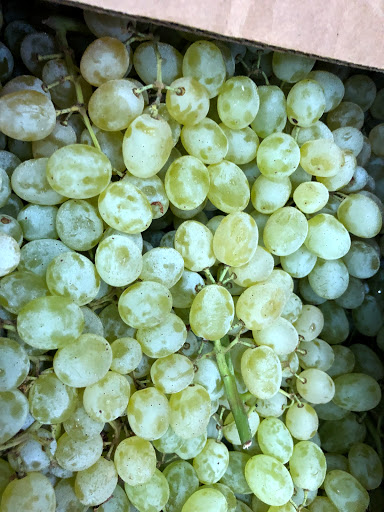 Supermarket «Baladi Fresh Market», reviews and photos, 601 W N Ave, Villa Park, IL 60181, USA