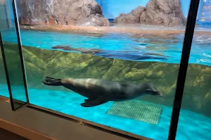 Shinagawa Aquarium image