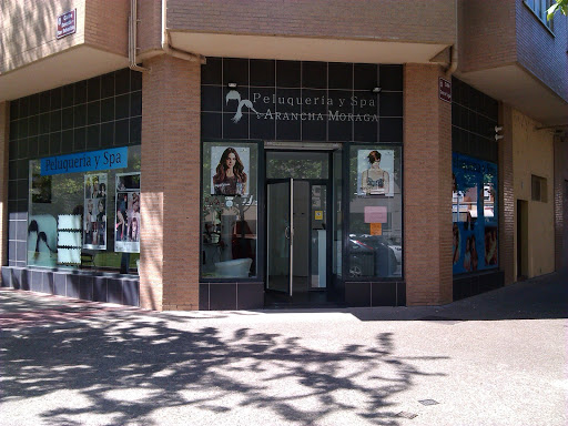 Información y opiniones sobre Peluquería y Spa Arancha Moraga de Logroño
