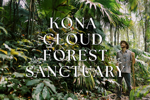 Kona Cloud Forest Sanctuary image