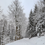 Photo n°1 de l'avis de Tina.c fait le 17/02/2021 à 09:58 sur le  Skibaude am Geiersberg à Suhl