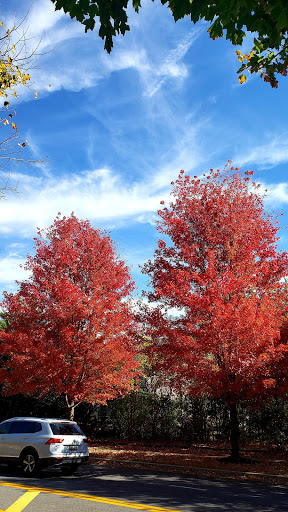 Park «Blandair Regional Park», reviews and photos, 5750 Oakland Mills Rd, Columbia, MD 21045, USA