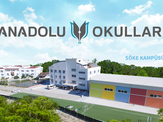 Anadolu Okulları