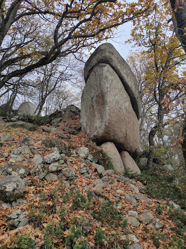 Opinii despre Автомивка Свежест în Сливен - Автомивка