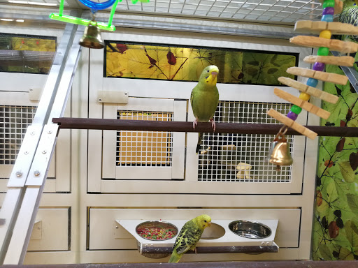 Pet Supply Store «PetSmart», reviews and photos, 1520 Pleasant Valley Rd, Manchester, CT 06042, USA