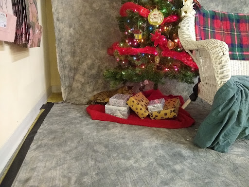 Pet Supply Store «K & M Feed Pet Tack», reviews and photos, 9758 Alexandria Pike, Alexandria, KY 41001, USA