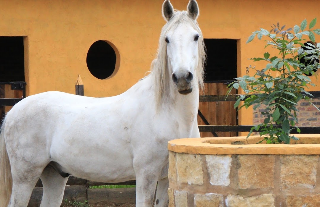 Criadero los Arrieros