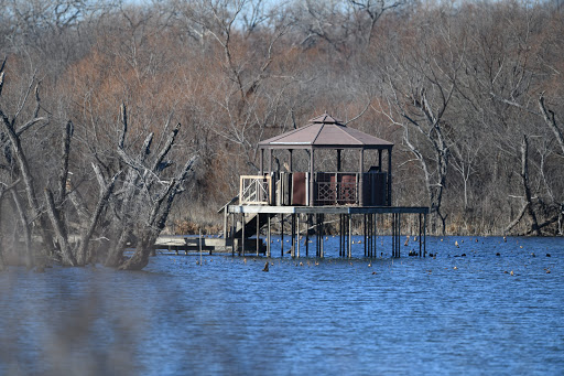 Nature Preserve «LLELA Nature Preserve», reviews and photos, 201 E Jones St, Lewisville, TX 75057, USA