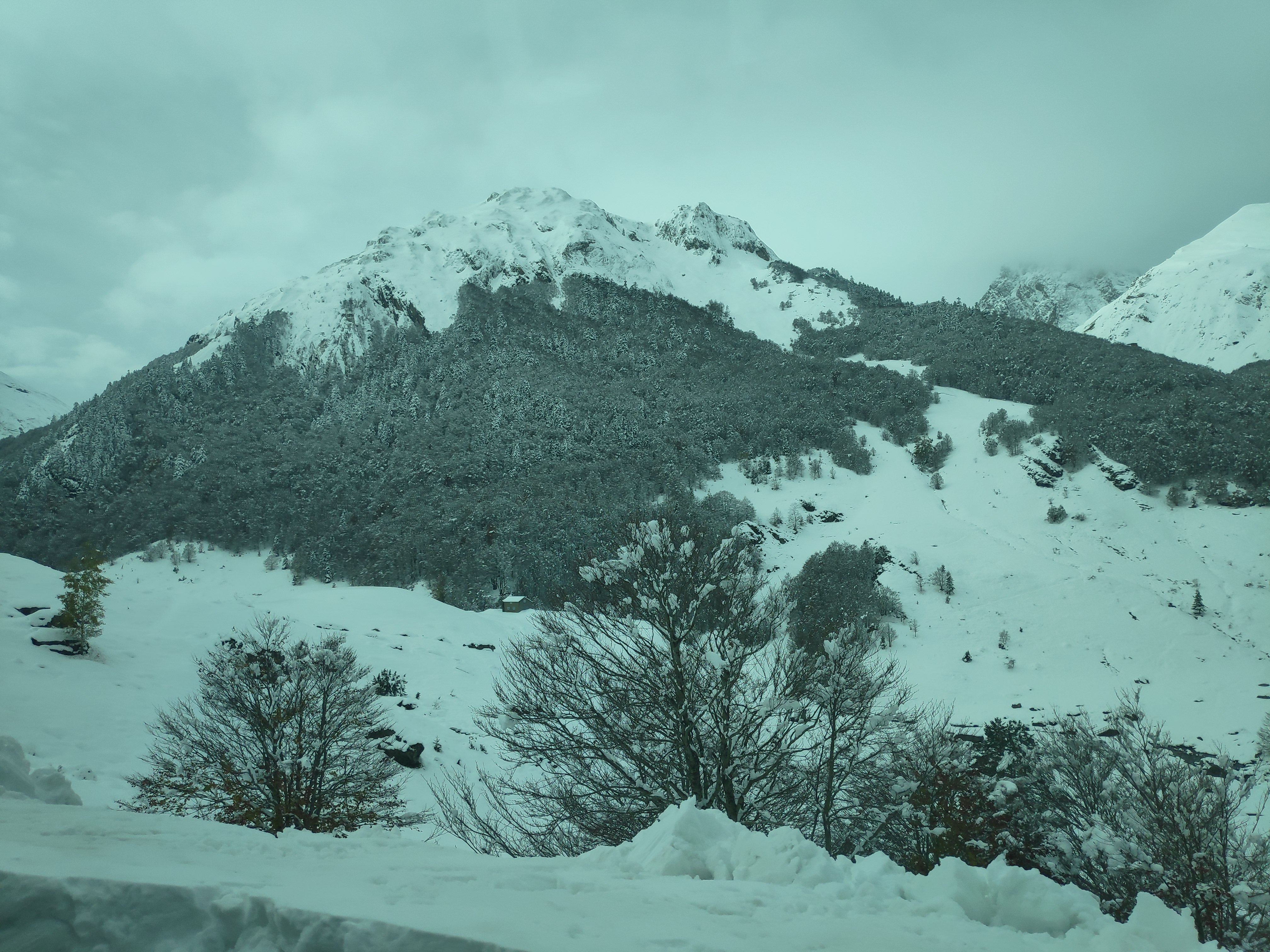 Photo n° 9 de l'avis de ZerK1nG. fait le 11/11/2019 à 14:53