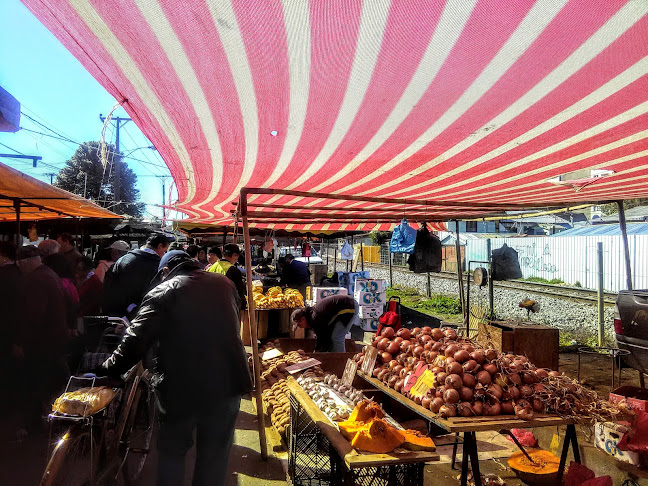 Feria libre de Barrio Norte - Mercado