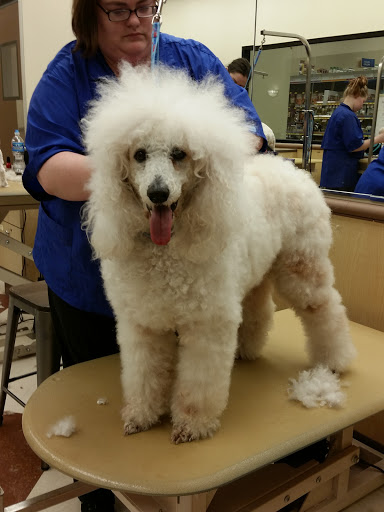 Pet Supply Store «PetSmart», reviews and photos, 5241 Frederica St, Owensboro, KY 42301, USA