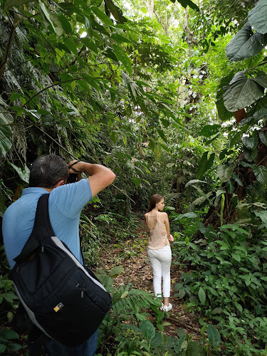 Unnamed Road, El Carmen, Ecuador