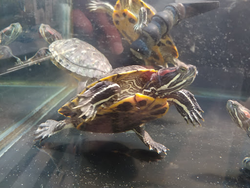 Pet Supply Store «Petco Animal Supplies», reviews and photos, 244 Pioneer Trail, Chaska, MN 55318, USA