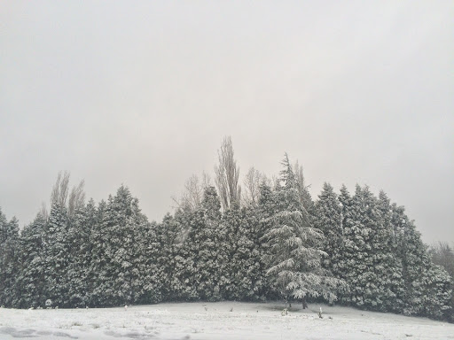 State Park «Willamette Stone State Heritage Site», reviews and photos, 253 NW Skyline Blvd, Portland, OR 97210, USA