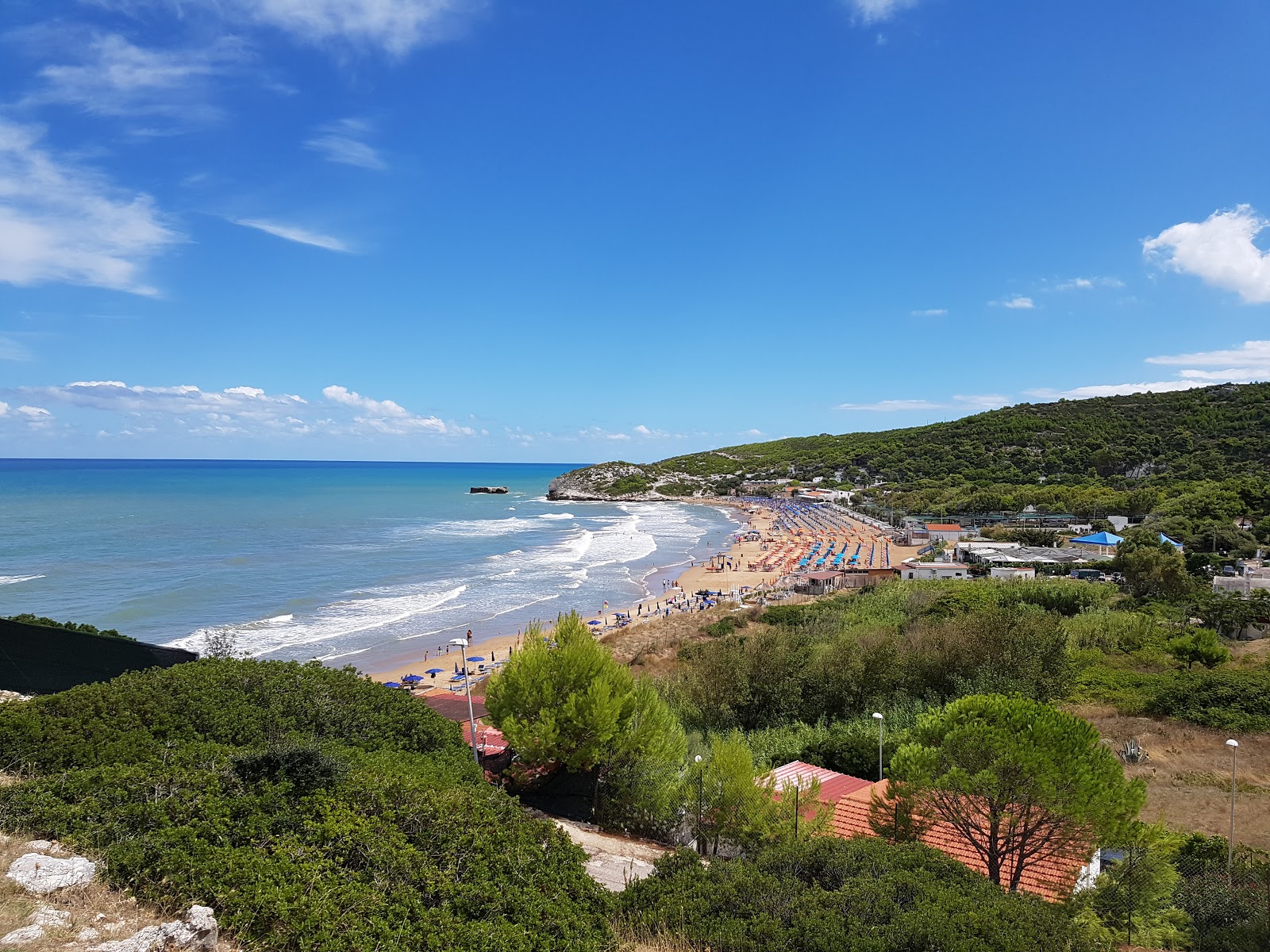 Zdjęcie Manaccora Beach z przestronna zatoka