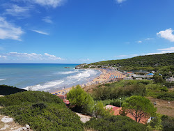 Zdjęcie Manaccora Beach z przestronna zatoka