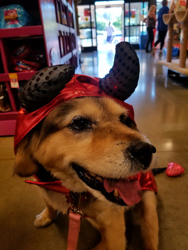 Pet Supply Store «PetSmart», reviews and photos, 17651 Colima Rd, City of Industry, CA 91748, USA