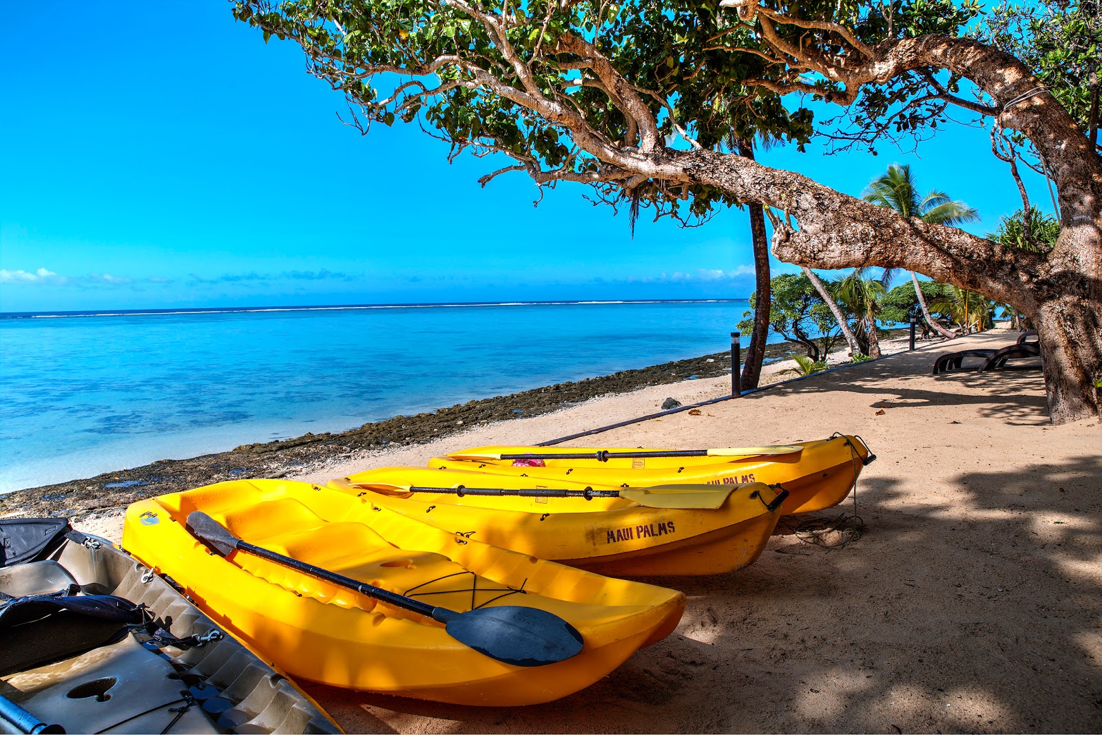 Photo of Maui Palms and the settlement