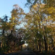 Little Bennett Regional Park Lewisdale Horse Trailer Parking Area