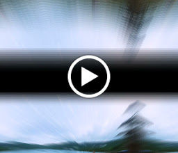 Zona Fitness. Crossfit. Box. Pesas. photo