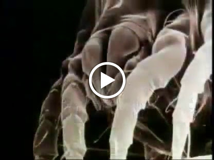 Air Conditioning Contractor «Illiana Heating & Air Conditioning, Inc.», reviews and photos