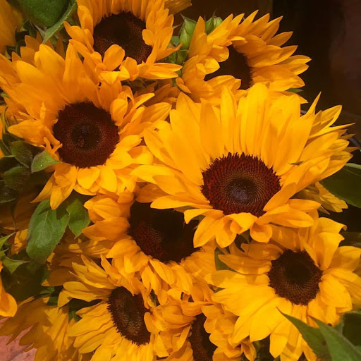 Florist «Allan Woods Flowers», reviews and photos, 2645 Connecticut Ave NW, Washington, DC 20008, USA