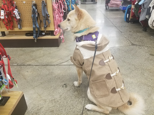 Pet Supply Store «Petco Animal Supplies», reviews and photos, 664 New Loudon Rd #240, Latham, NY 12110, USA