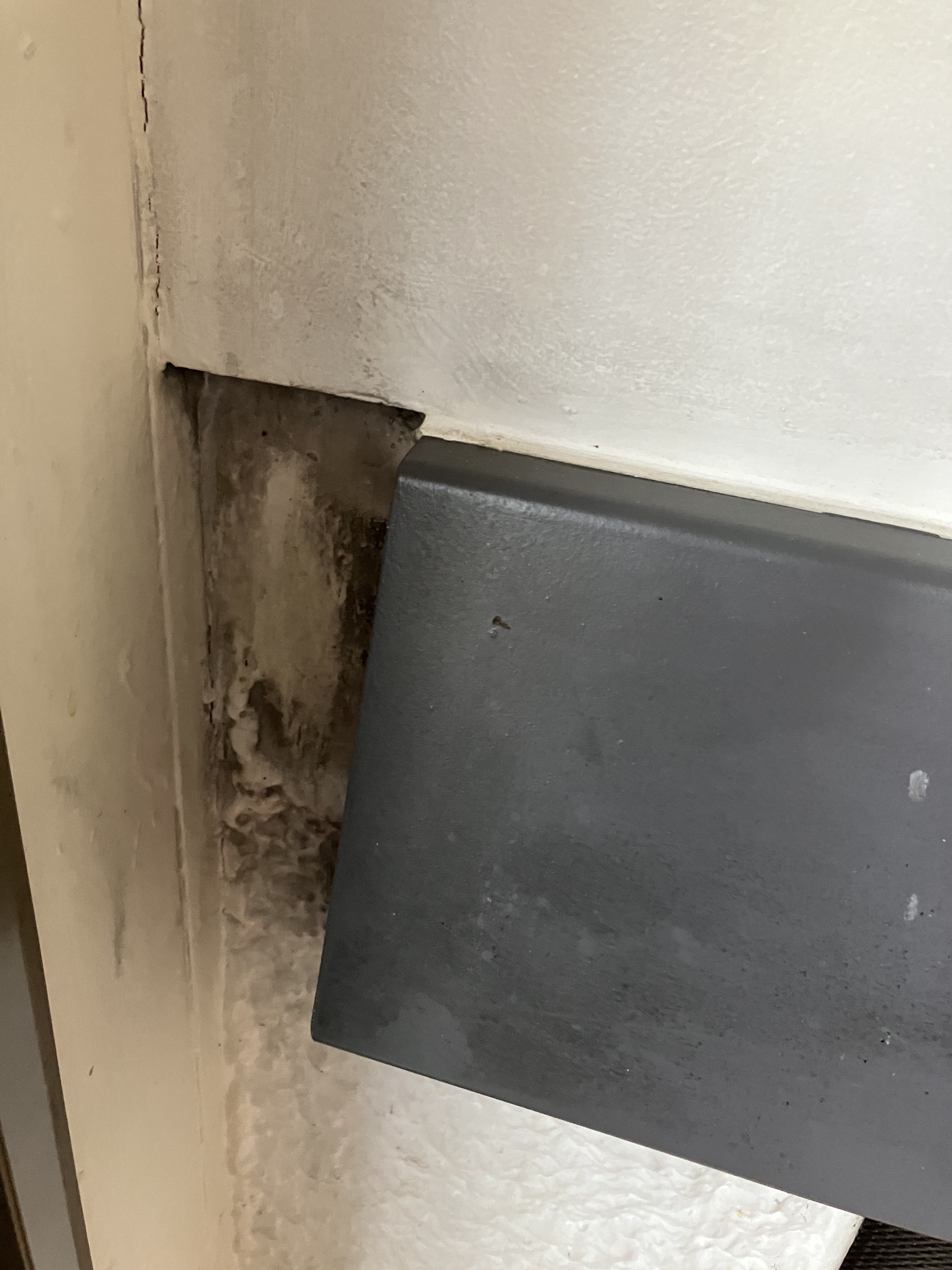 Photo n° 3 de l'avis de Krevette. fait le 17/02/2024 à 15:31