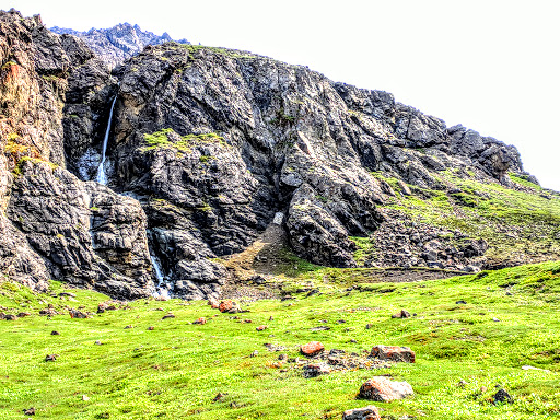 National Park «Denali National Park and Preserve», reviews and photos