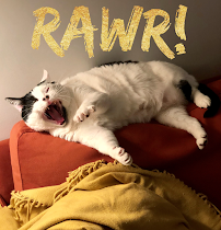 Carrie About Cats - Photo 8 - Car repair in , Coral Springs