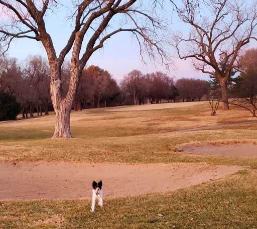 Golf Course «MacDonald Golf Course», reviews and photos, 840 N Yale Ave, Wichita, KS 67208, USA